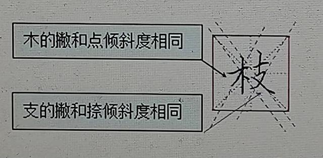 支字取名的寓意是什么？支字取名的寓意是什么意思！