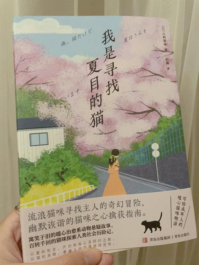 《我是寻找夏目的猫》以猫的双眼_看遍人间四季温凉悲欢