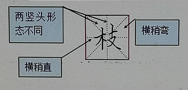 支字取名的寓意是什么？支字取名的寓意是什么意思！