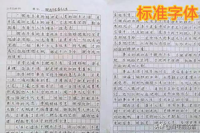 网上名字打分永聪（网上名字打分测试）