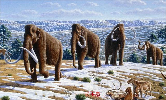 灭绝的动物名单图片中国灭绝的动物名单!