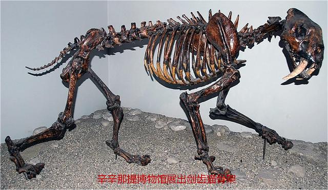 灭绝的动物名单图片中国灭绝的动物名单!