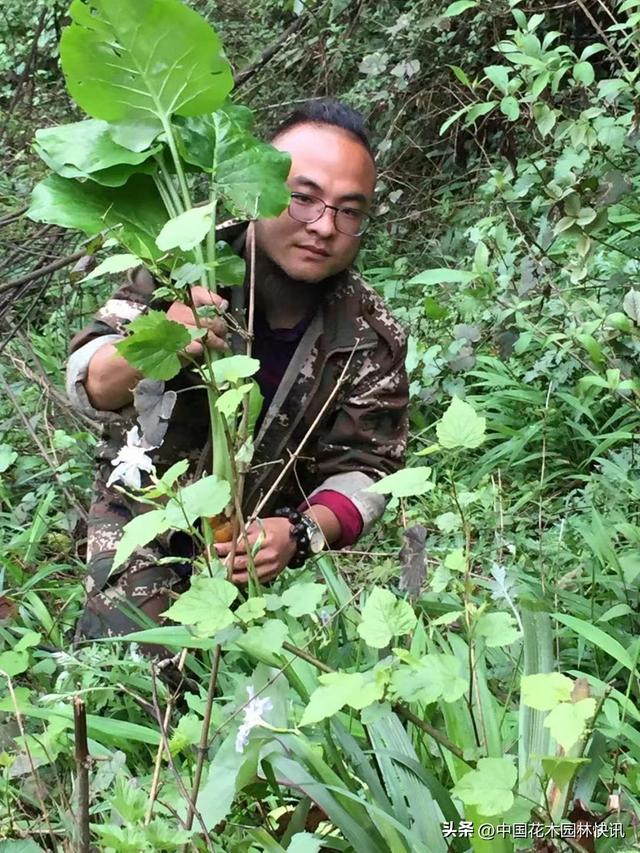 身残志坚的名人的故事简短身残志坚的名人的故事简短概括!