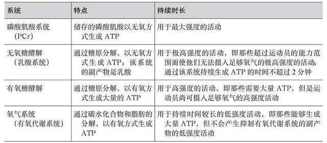 健身房名字创意大全集？健身房名字创意大全集英文！