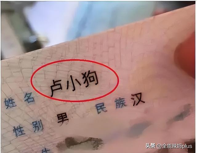 杨姓宝宝起名字？姓杨孩子取名字大全！