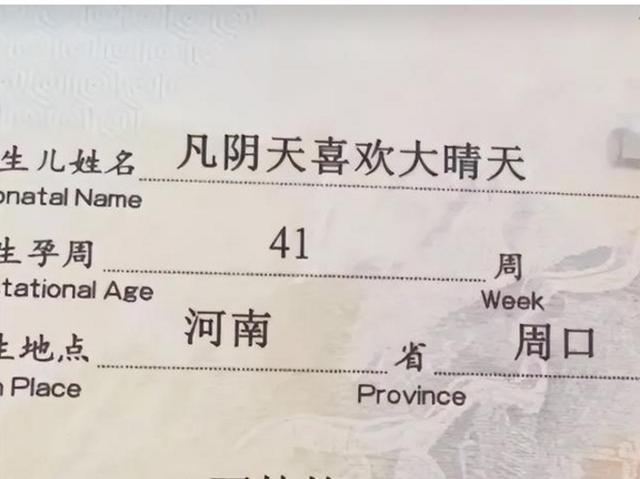 网上起名网上起名字可靠吗