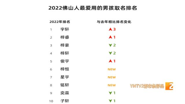 新生儿取名字大全免费2023年新生儿取名字大全免费