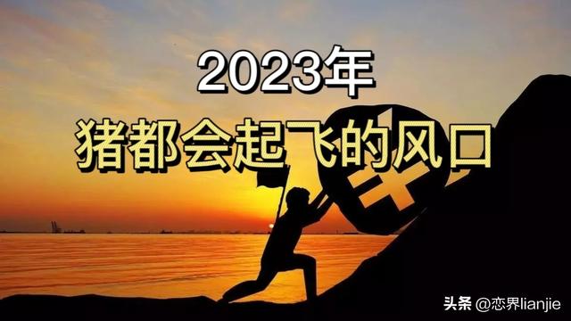 属猪是202几年？2024年属猪的多大！