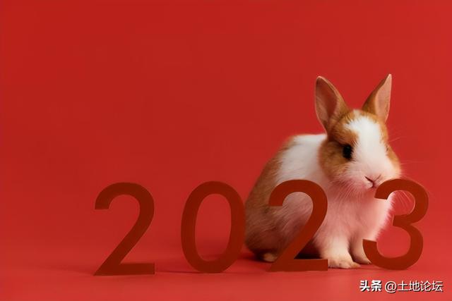 李居明2023年运程？宋韶光2023年兔年运程电子版！