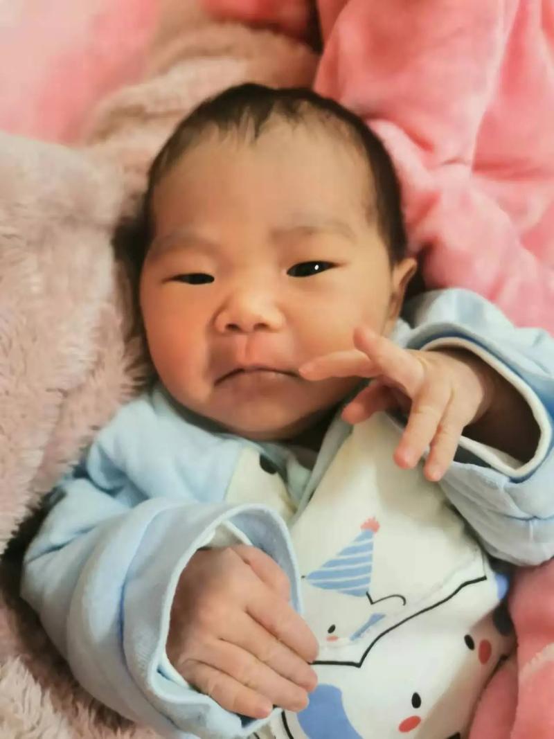 新生婴儿免费起名_新生婴儿免费起名软件