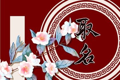 有水有草的兔宝宝名字 2023年女兔宝宝取名字最佳字